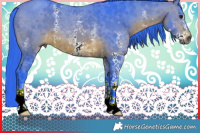 Horse Color:Gray Watercolor Bay Sabino Rabicano 