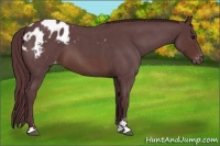 Horse Color:Chocolate Brown Roan Sabino Blanket