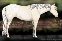 Horse Color:Silver Buckskin Pearl Dun Sabino Varnish 