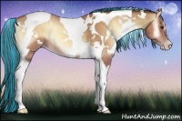 Horse Color:Painted White Spotted Amber Champagne Onyx Tobiano