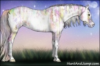 Horse Color:Nacre White Spotted Silver Bay Ice Onyx 