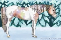 Horse Color:Nacre Blue Onyx Pearl Tobiano