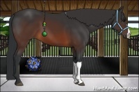 Horse Color:Brown 
