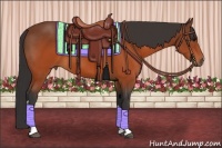 Horse Color:Brown 
