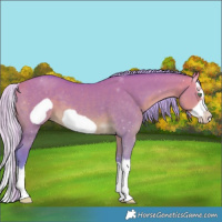 Horse Color:Watercolor Silver Sable Cream Champagne Dun Sabino Splash Frame 