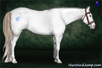 Horse Color:White Spotted Liver Chestnut Pearl 