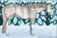 Horse Color:Nacre White Spotted Silver Blue Onyx Chinchilla Ice 