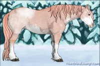 Horse Color:Watercolor Liver Red Dun Ice Sabino 