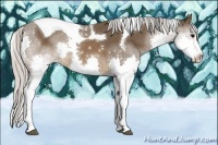 Horse Color:Silver Brown Sabino Splash Tobiano Rabicano 