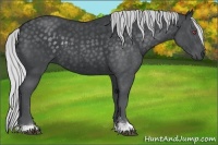 Horse Color:Silver Smoky Blue Chinchilla Roan 