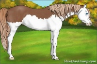 Horse Color:Red Roan Splash 