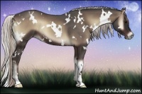 Horse Color:White Spotted Silver Blue Onyx