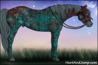 Horse Color:ERROR: UNKNOWN ANOMALY and ERROR: UNKNOWN ANOMALY