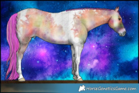 Horse Color:Painted Nacre Chocolate Palomino Roan Onyx Tobiano 