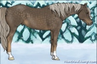 Horse Color:Chocolate Palomino