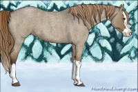 Horse Color:Liver Red Dun Roan Sabino Splash