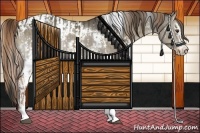 Horse Color:White Spotted Liver Red Dun  and White Spotted Liver Red Dun Sabino 