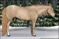 Horse Color:Liver Chestnut Pearl Sabino 