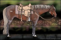 Horse Color:Silver Brown 