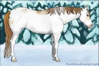 Horse Color:Red Dun Sabino Splash Frame Varnish