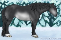 Horse Color:Brown Chinchilla 