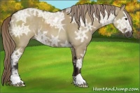 Horse Color:Liver Red Dun Ice 