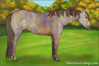 Horse Color:Nacre Liver Red Dun Rabicano 