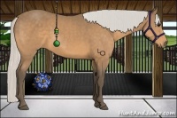 Horse Color:Silver Buckskin 