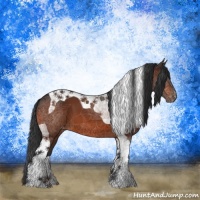 Horse Color:Bay Tobiano Appaloosa