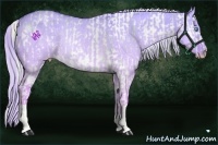 Horse Color:Silver Perlino Dun Sabino Rabicano and Cremello Dun Rabicano