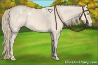 Horse Color:White Spotted Perlino 
