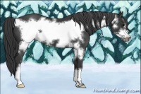 Horse Color:Black Frame 