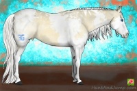 Horse Color:Silver Buckskin Splash Tobiano Varnish
