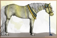 Horse Color:White Spotted Silver Black Chinchilla Ice 