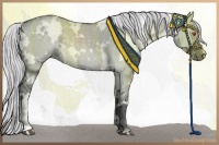 Horse Color:White Spotted Silver Grullo Chinchilla 