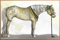 Horse Color:White Spotted Chocolate Palomino Dun Sabino Rabicano 