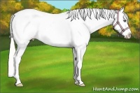 Horse Color:Silver Classic Champagne Pearl Dun Near Fewspot Rabicano