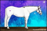 Horse Color:White Spotted Gold Cream Champagne Pearl Dun 