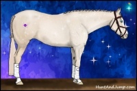 Horse Color:Palomino Pearl Sabino