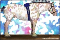 Horse Color:Nacre Bay Pearl Near Leopard 