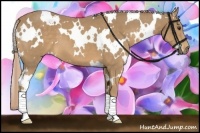 Horse Color:White Spotted Palomino