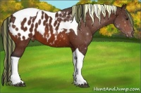 Horse Color:Painted Brown Tobiano Blanket 