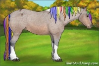 Horse Color:Painted Bay Tobiano Appaloosa 