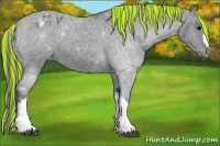 Horse Color:Painted Black Varnish 