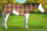 Horse Color:Plaid  Bay Splash Rabicano 