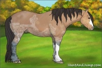 Horse Color:Bay Ice 
