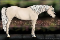 Horse Color:Palomino Pearl