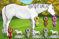 Horse Color:Gray Smoky Creme Roan Splash 