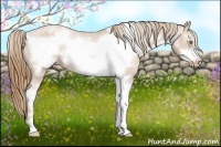 Horse Color:Red Roan Pearl Sabino Frame Varnish 