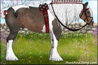 Horse Color:Liver Chestnut Sabino Tobiano 